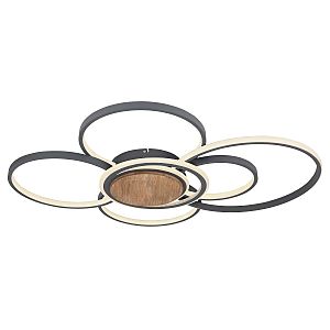 Потолочная люстра Nirra 67256-60