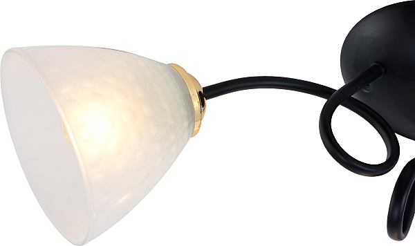 Потолочная люстра Luiza 9140-303