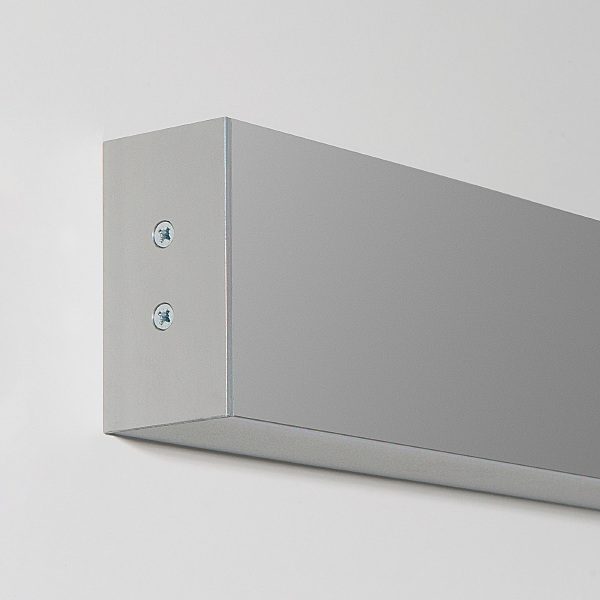 Настенный светильник Elektrostandard LS-02-2-53-4200-MS-a040111