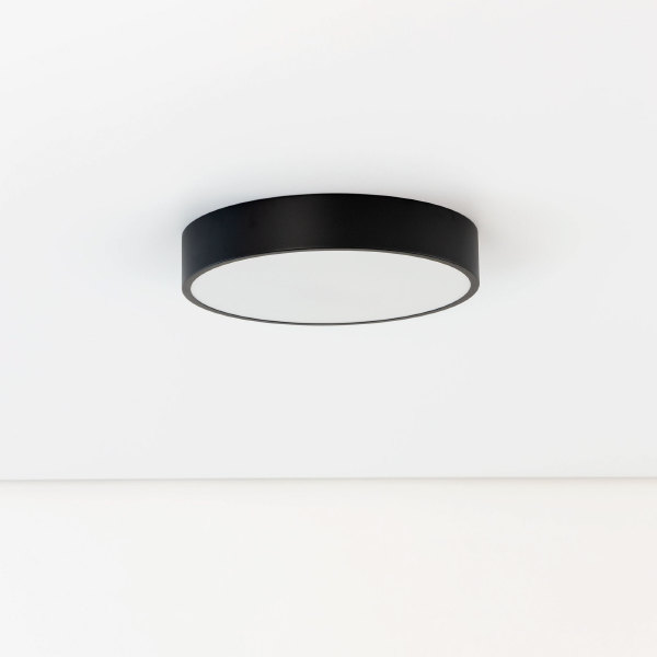 Светильник потолочный Купер CL72424V1