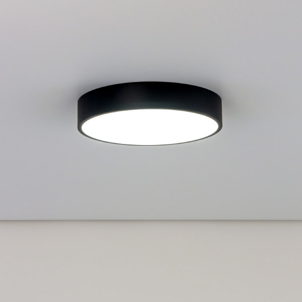 Светильник потолочный Купер CL72424V1