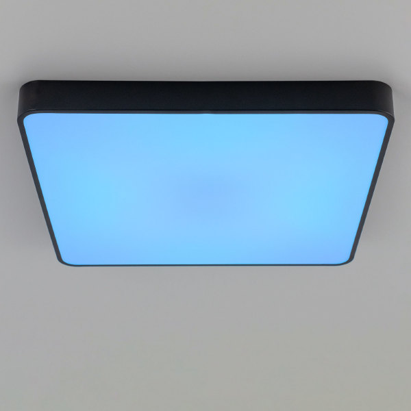 Светильник потолочный Купер CL724K105G1