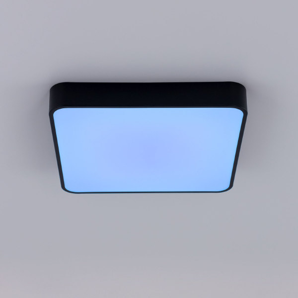 Светильник потолочный Купер CL724K70G1