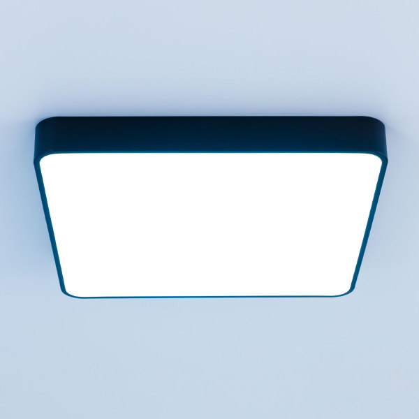 Светильник потолочный Купер CL724K95G1