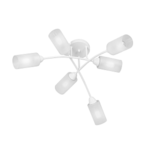 Vitaluce V4188
