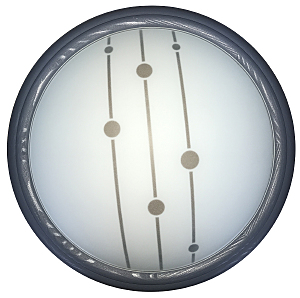 Настенно потолочный светильник Polly TL1127-1Y