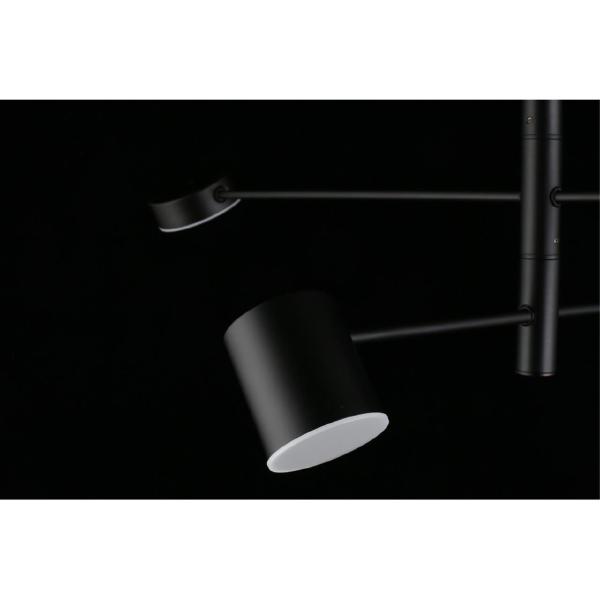 Потолочная люстра Frania APL.017.07.48