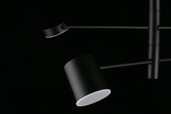 Потолочная люстра Frania APL.017.07.48