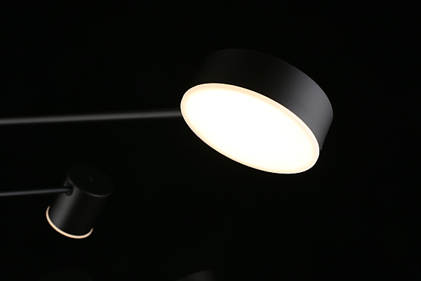 Потолочная люстра Frania APL.017.07.48