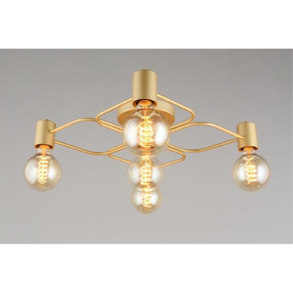 Потолочная люстра Elison APL.911.07.05