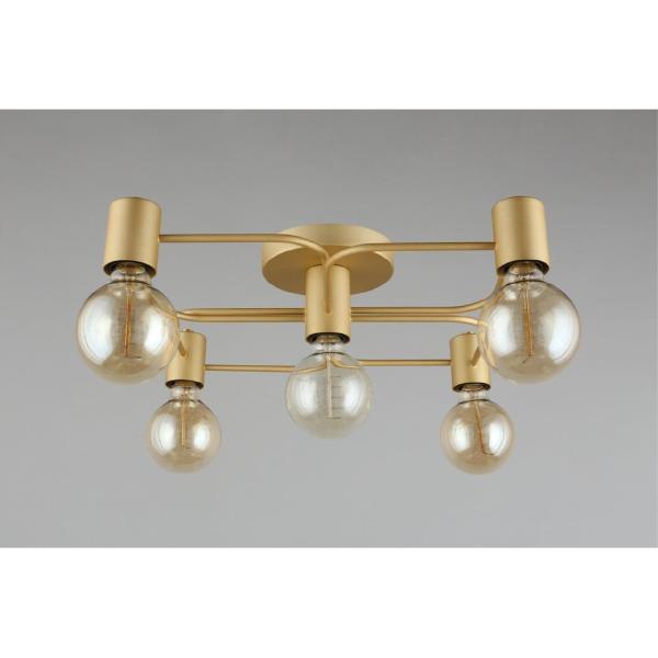 Потолочная люстра Elison APL.911.07.05