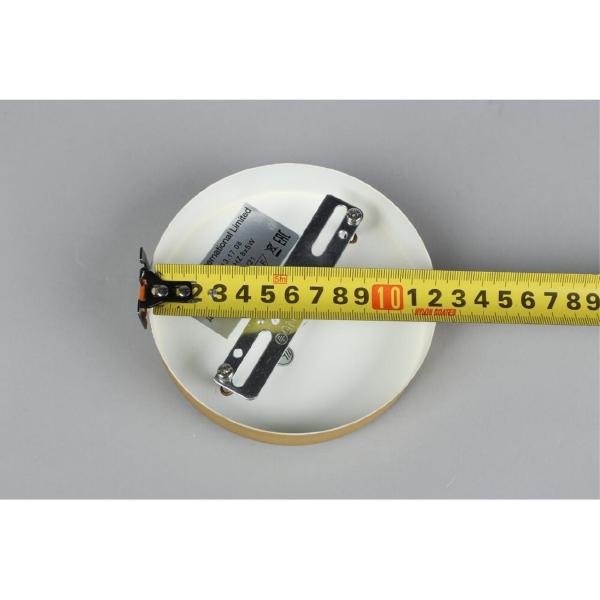 Люстра на штанге Roser APL.913.17.08