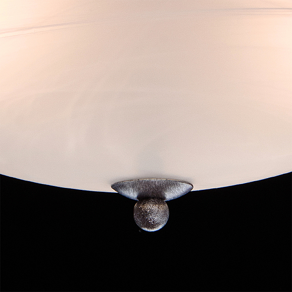 Светильник потолочный Аида 323012603