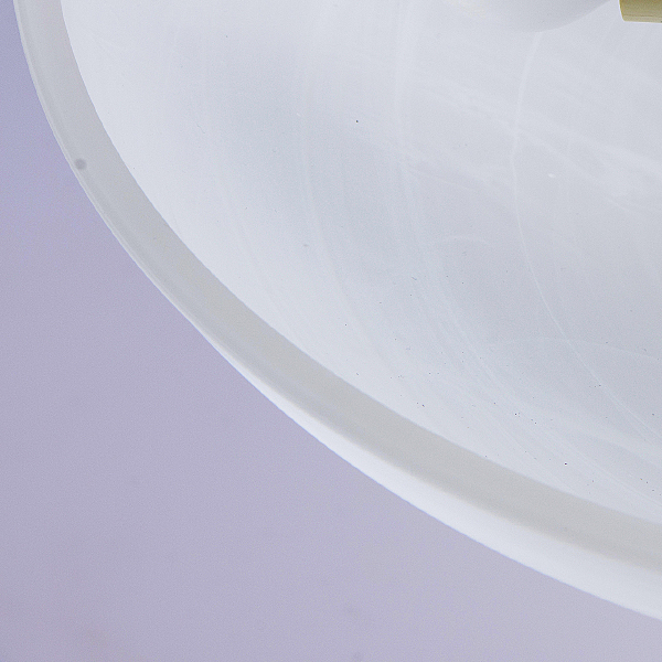 Светильник потолочный Аида 323012603