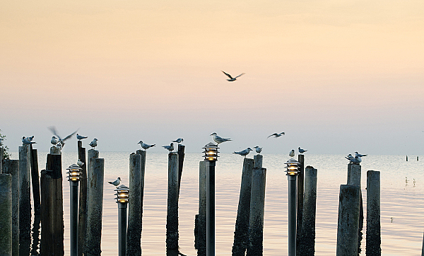 Столб фонарный уличный Уран 803040601