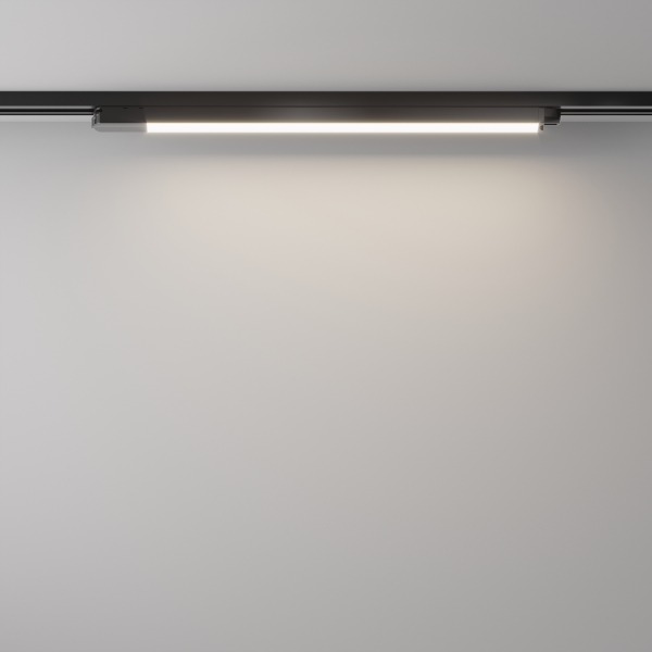 Трековый светильник Basis Unity TR000-1-24W4K-B