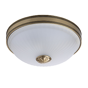 Настенно потолочный светильник Ангел 295013402