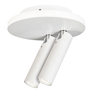 Светильник спот 20019 20019SMA/02LED SWH