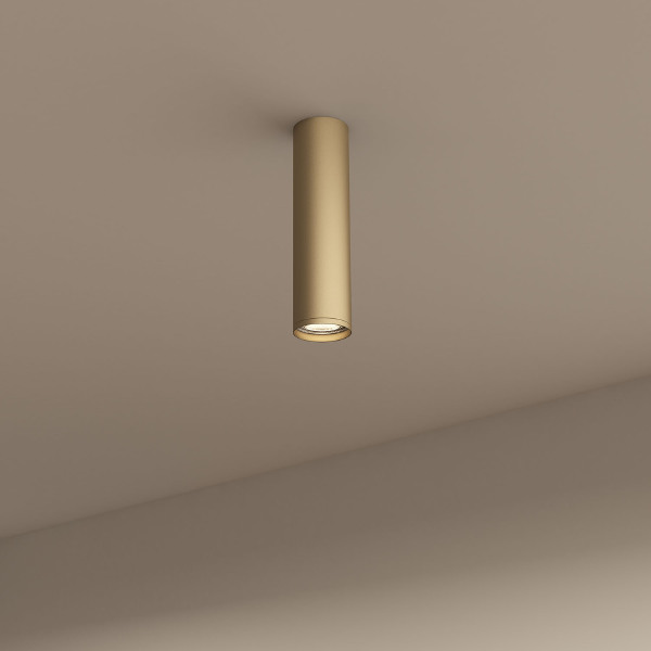 Накладной светильник Tube DK2052-SG