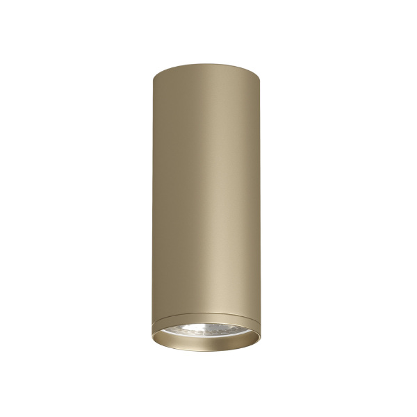 Накладной светильник Tube DK2051-SG