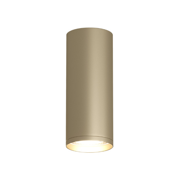 Накладной светильник Tube DK2051-SG