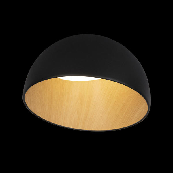 Светильник потолочный Egg 10197/350 Black