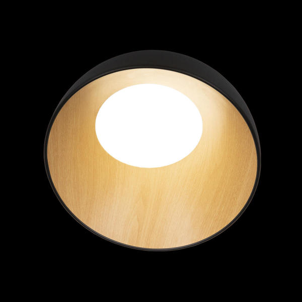 Светильник потолочный Egg 10197/350 Black