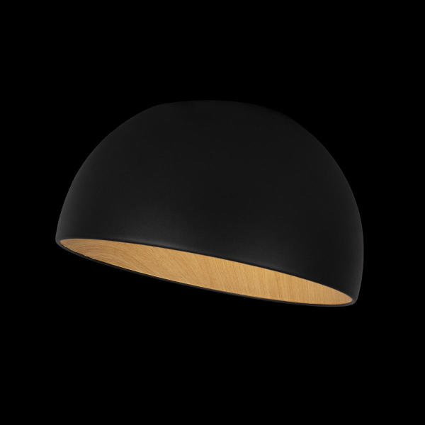 Светильник потолочный Egg 10197/350 Black