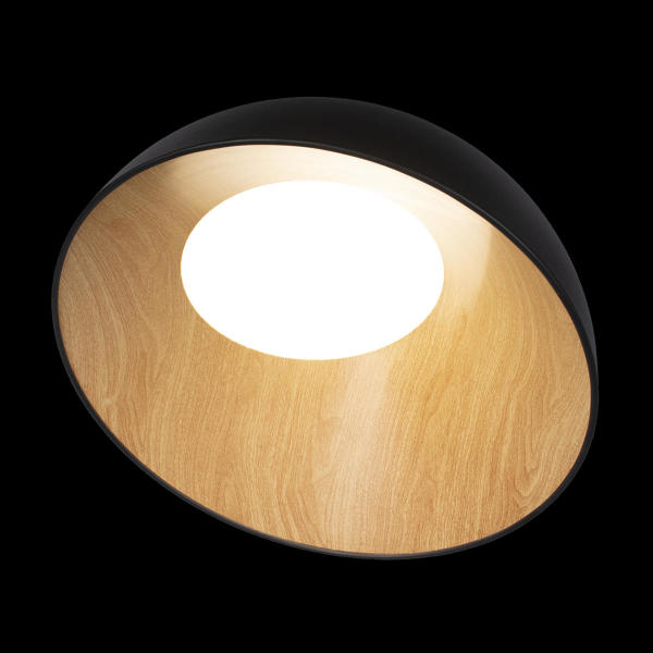 Светильник потолочный Egg 10197/500 Black