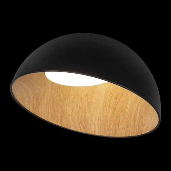 Светильник потолочный Egg 10197/500 Black
