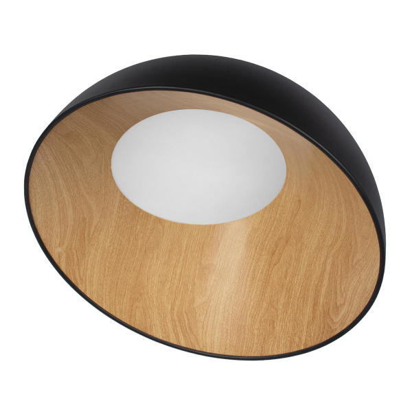 Светильник потолочный Egg 10197/500 Black