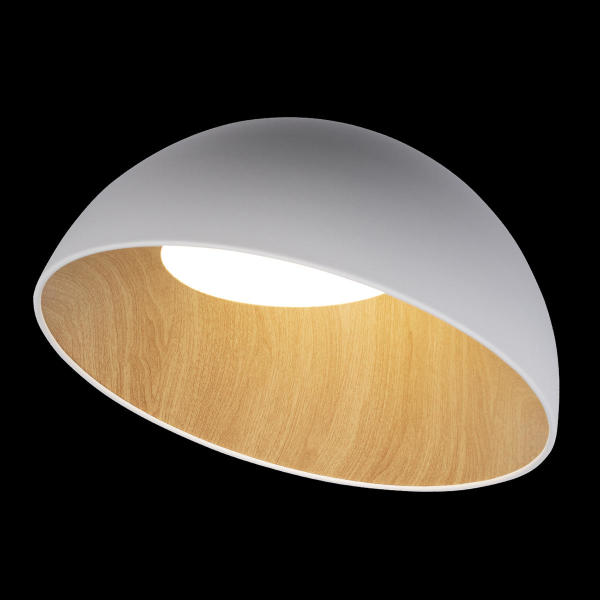 Светильник потолочный Egg 10197/500 White