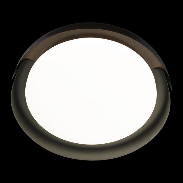 Светильник потолочный Coin 10198 Black