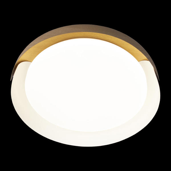 Светильник потолочный Coin 10198 White