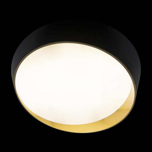 Светильник потолочный Coin 10199 Black