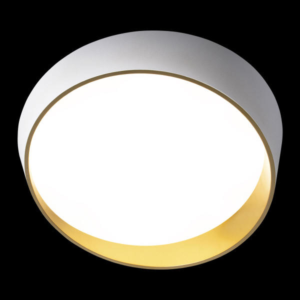 Светильник потолочный Coin 10199 White