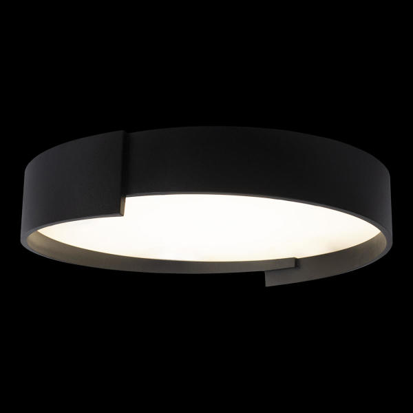 Светильник потолочный Coin 10200 Black