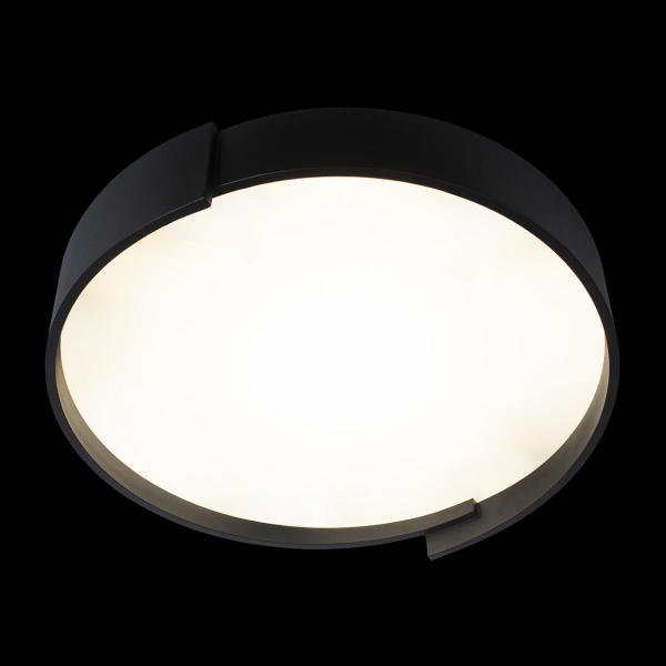 Светильник потолочный Coin 10200 Black