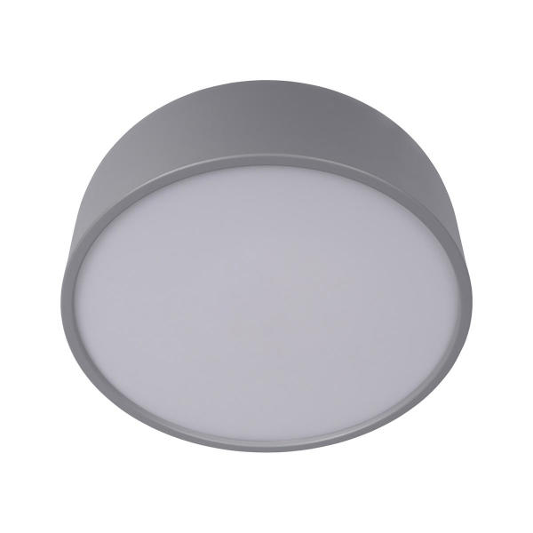 Светильник потолочный Axel 10201/350 Grey