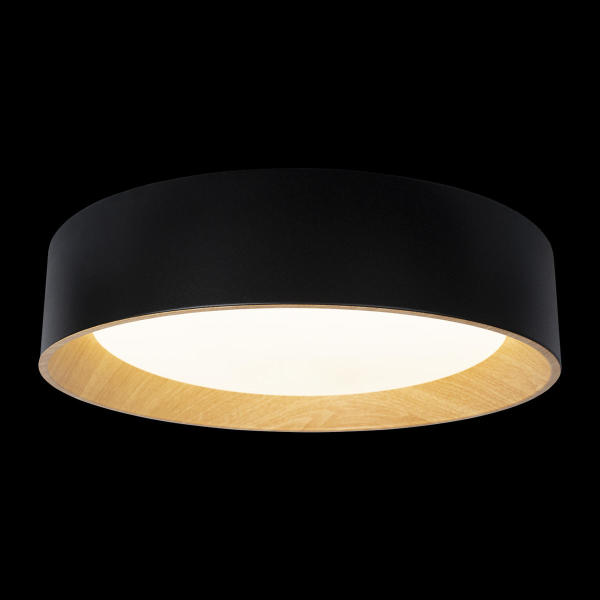 Светильник потолочный Coin 10202 Black