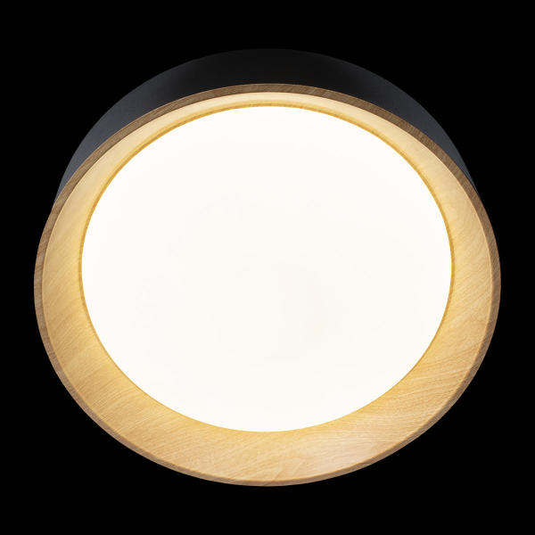 Светильник потолочный Coin 10202 Black