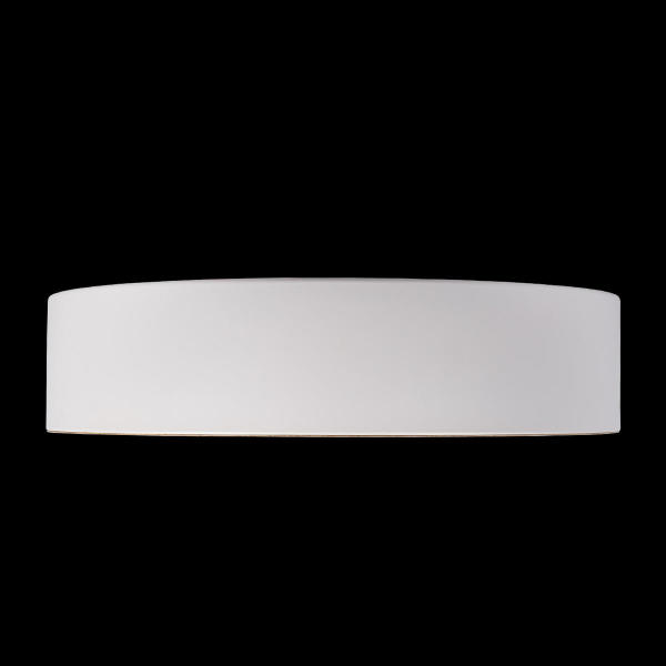 Светильник потолочный Coin 10202 White