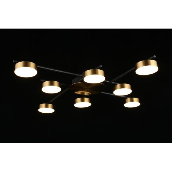 Потолочная люстра Delayn APL.042.07.56