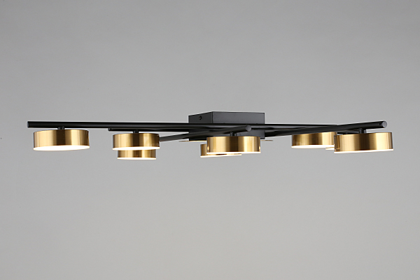 Потолочная люстра Delayn APL.042.07.56