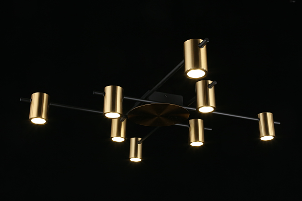 Потолочная люстра Elwisia APL.633.07.08