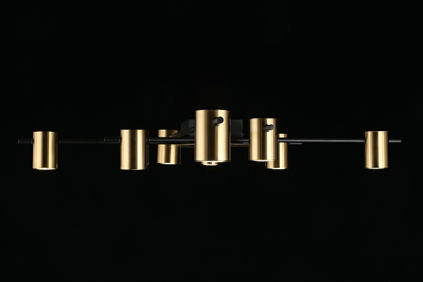 Потолочная люстра Elwisia APL.633.07.08