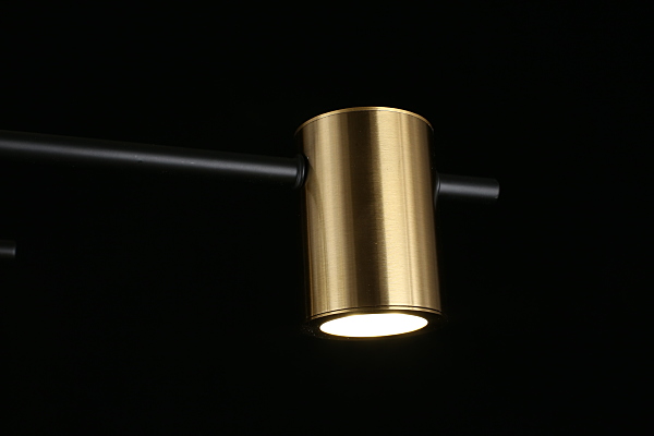 Потолочная люстра Elwisia APL.633.07.08