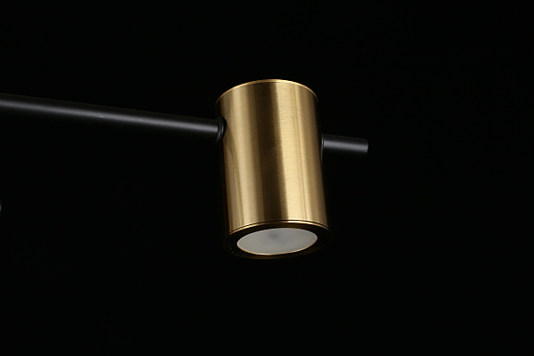 Потолочная люстра Elwisia APL.633.07.08