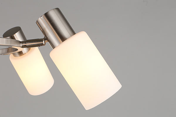 Подвесная люстра Ales OML-69113-06