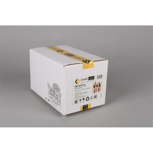 Настенное бра Oriolo OML-69401-02